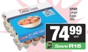 Spar Large Eggs-30's Pack
