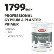 Plascon Professional Gypsum & Plaster Primer-20L Each