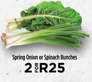 Spring Onion Or Spinach Bunches-For 2