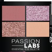 Passion Labs Quad Eyeshadow Palette