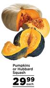 Pumpkin or Hubbard Squash- Each 