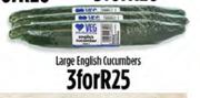 Large English Cucumbers-For 3