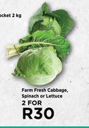Farm Fresh Cabbage, Spinach Or Lettuce-For 2