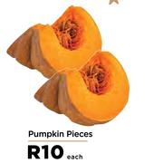 Pumpkin Pieces-Each