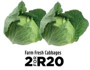 Farm Fresh Cabbages- For 2