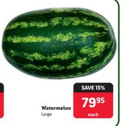 Watermelon (Large)-Each