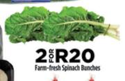 Farm Fresh Spinach Branches-For 2
