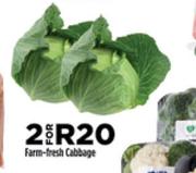Farm Fresh cabbage-For 2