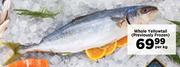 Whole Yellowtail (Previously Frozen)-Per Kg