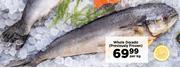 Whole Dorado (Previously Frozen)-Per Kg