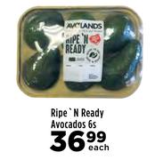 Ripe 'N Ready Avocados-6's Each