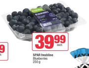 Spar Freshline Blueberries-250g Each