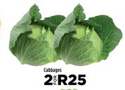 Cabbages-For 2