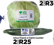 Lettuce Prepack Or English Cucumber-For 2