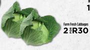 Farm Fresh Cabbages-For 2