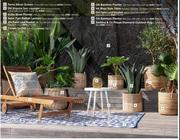 Ferns Decor Screen (Charcoal)-1.8m x 900mm