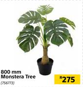 800mm Monstera Tree 756773
