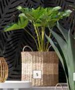 DH Palm Leaf Basket 390m x 390mm x 410mm