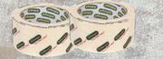 Sellotape Masking Tape-48mm X 40m Each