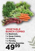 Vegetable Bunch Combo Of 1xBeetroot, 1xSoup Celery, 1xCarrot, 1xParsley & 1xDhania Bunch