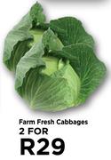 Farm Fresh Cabbages-For 2