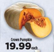 Crown Pumpkin-Each