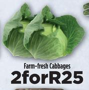 Farm Fresh Cabbages-For 2