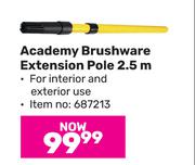 Academy Brushware Extension Pole 2.5m