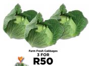 Farm Fresh Cabbages-For 3