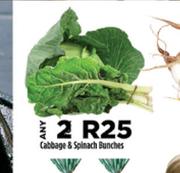 Cabbage & Spinach Bunches-For Any 2