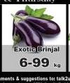 Exotic Brinjal-Per Kg