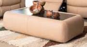 Roma Coffee Table