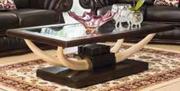 Evongo Coffee Table