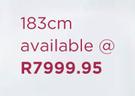 Sealy Posture Premier Argo 183cm Base Set