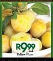 Yellow Plum