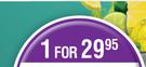 Super Slim Boost Assorted-For 1 x 300ml