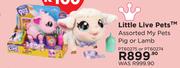 Little Live Pets Assorted My Pets Pig Or Lamb PT60275 Or PT60274
