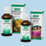 A.Vogel Boldocynara-50ml