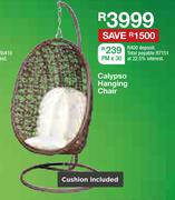 Calypso Hanging Chair