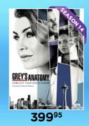 Grey's Anatomy Season 14 TV Series