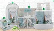 Nature's Edition Aloe Landscape Hand Care Duo Caddy (2 Piece)
