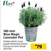 Flora 140mm Blue Magic Lavender Pot