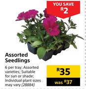 Assorted Seedlings