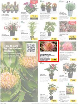 Builders : It's Time To Enjoy Your Outdoor Spaces Again (05 September - 02 October 2023), page 2