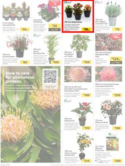 Builders : It's Time To Enjoy Your Outdoor Spaces Again (05 September - 02 October 2023), page 2
