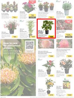 Builders : It's Time To Enjoy Your Outdoor Spaces Again (05 September - 02 October 2023), page 2