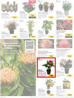 Builders : It's Time To Enjoy Your Outdoor Spaces Again (05 September - 02 October 2023), page 2