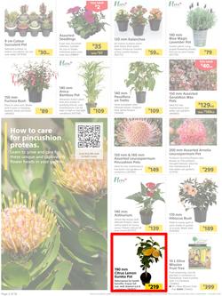 Builders : It's Time To Enjoy Your Outdoor Spaces Again (05 September - 02 October 2023), page 2