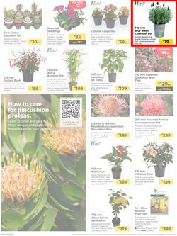 Builders : It's Time To Enjoy Your Outdoor Spaces Again (05 September - 02 October 2023), page 2