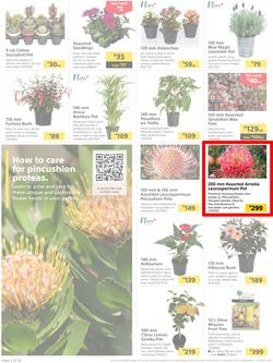 Builders : It's Time To Enjoy Your Outdoor Spaces Again (05 September - 02 October 2023), page 2